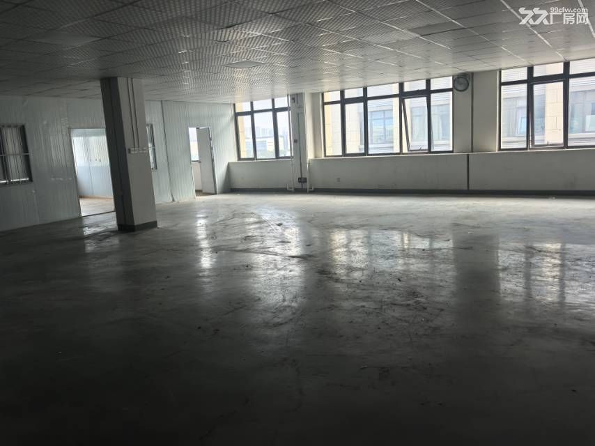 出租新站区标准厂房350平，有分割好的办公区域和做好的地坪漆 - 5