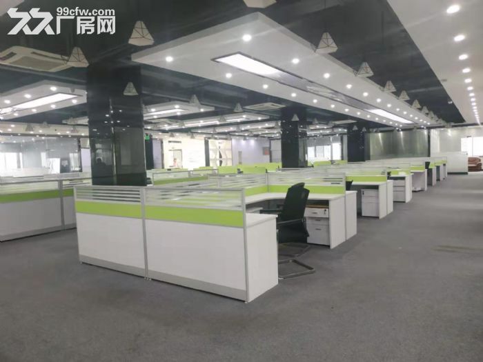 西丽龙井地铁口 外贸优选地1500平私  一手业主直租 - 6