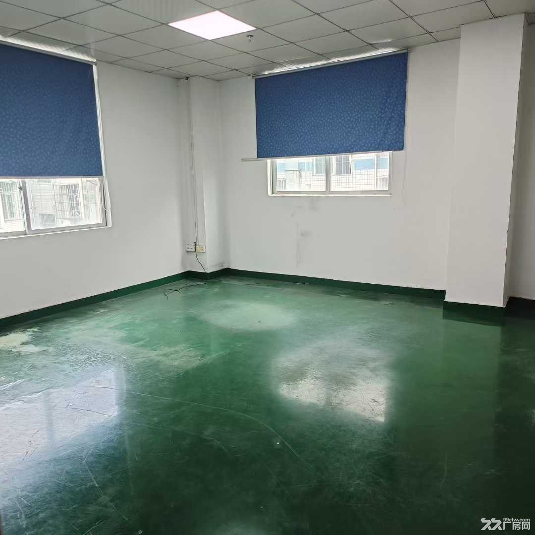 深圳龙华科技园精装修厂房800平米出租 - 3