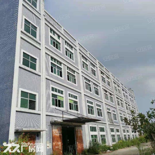 江门开平市金鸡镇80000平方工业园招商引咨，可分栋出租 - 4