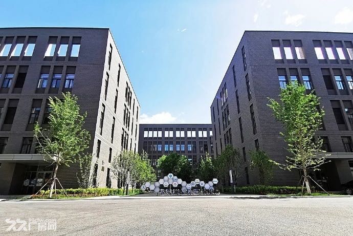 生物医药基地 798平 生产研发办公 - 5