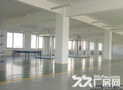 个人.东善桥工业园二楼2000平米普通标准厂房 - 4