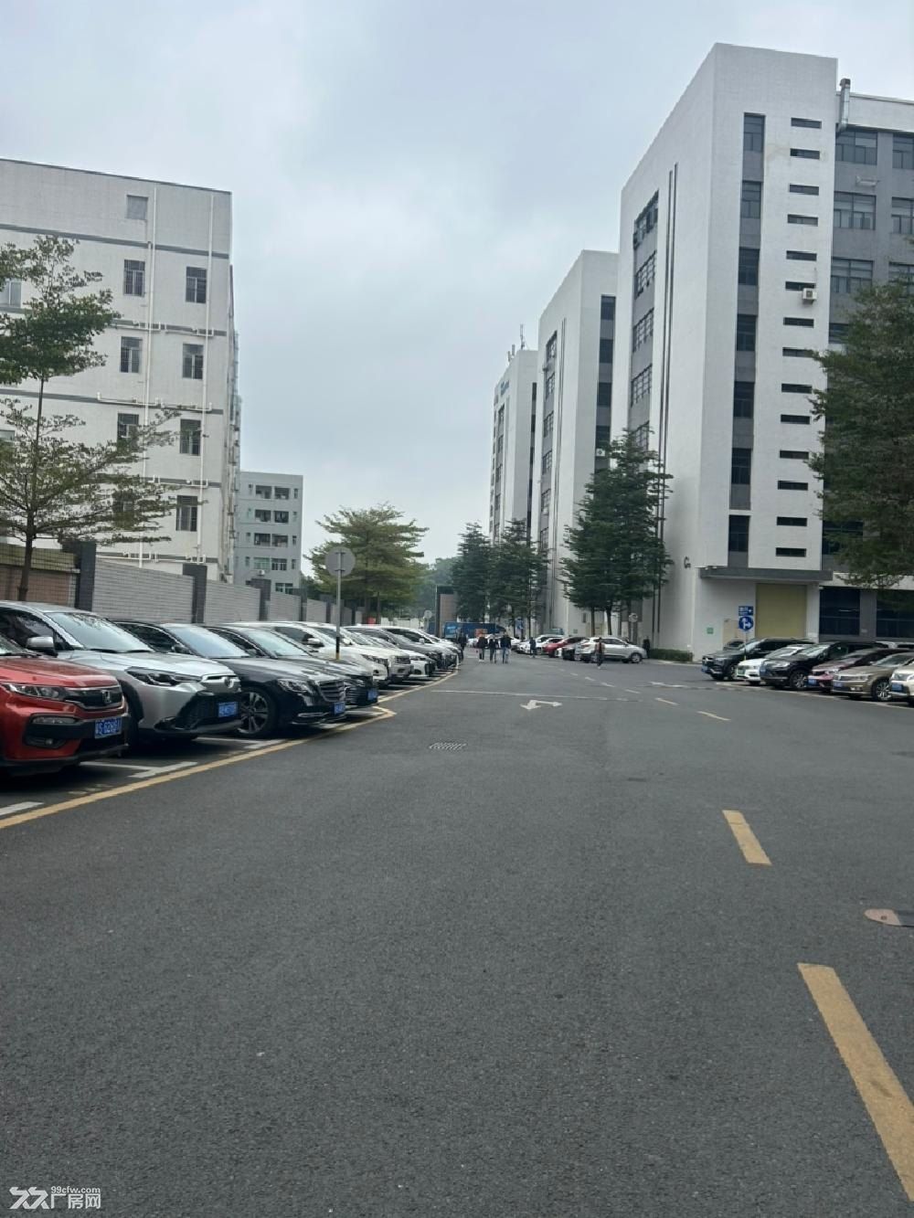 深圳光明国道边的的大空地的工业园