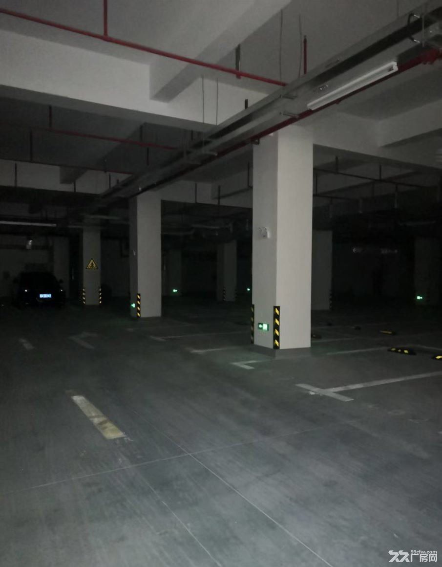 无：房东直租：青浦工业园区 独门独院纽珑科创园区 老板直租厂房 大车好进 - 6