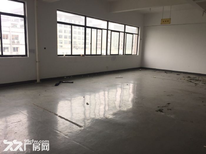 1500方厂房出租 适合淘宝 科技 仓储办公等 - 3