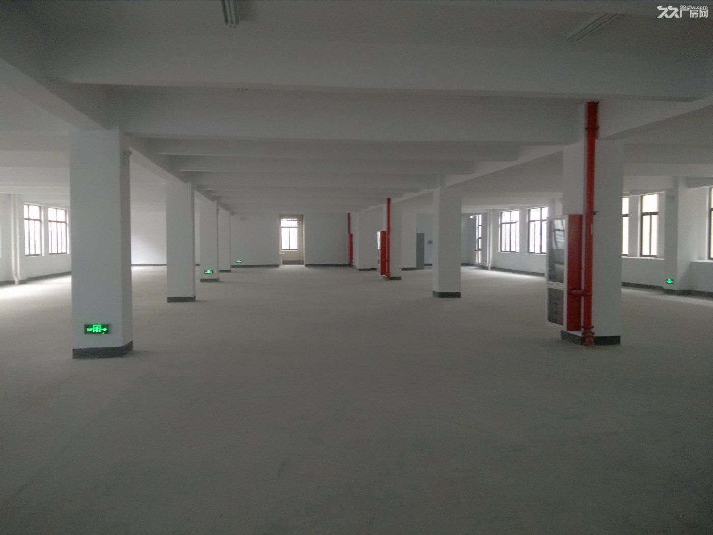 松江荣乐东路新建厂房一楼2200平 独栋5000平出租 - 5