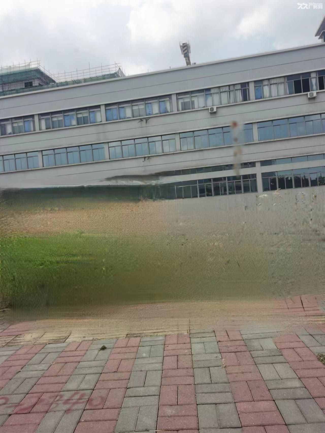珠海市斗门区独院物流厂房出售 - 4
