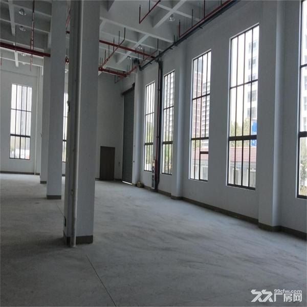 吴江开发区屯村独门独院2500平米