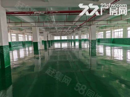 江门台山水步工业新城独院工业园厂房仓库2000平方招租 - 7
