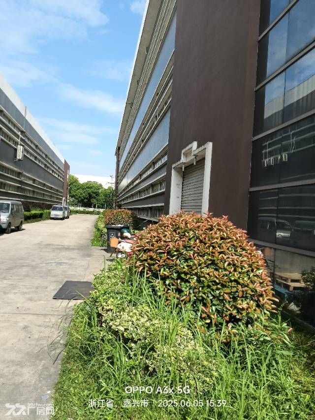 嘉兴科技城标准厂房出租,5000平看房方便一楼大车方便 - 4