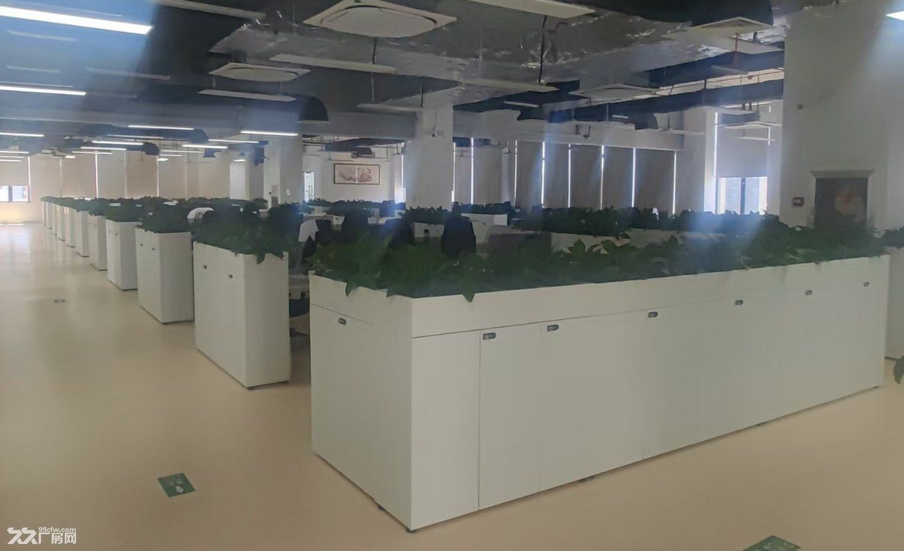 光谷生物城标准厂房出租,带装修,有污水处理站
