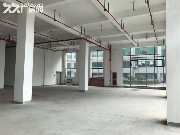 整层1200方层高高，适合服装展厅科技研发仓储类入住 - 4