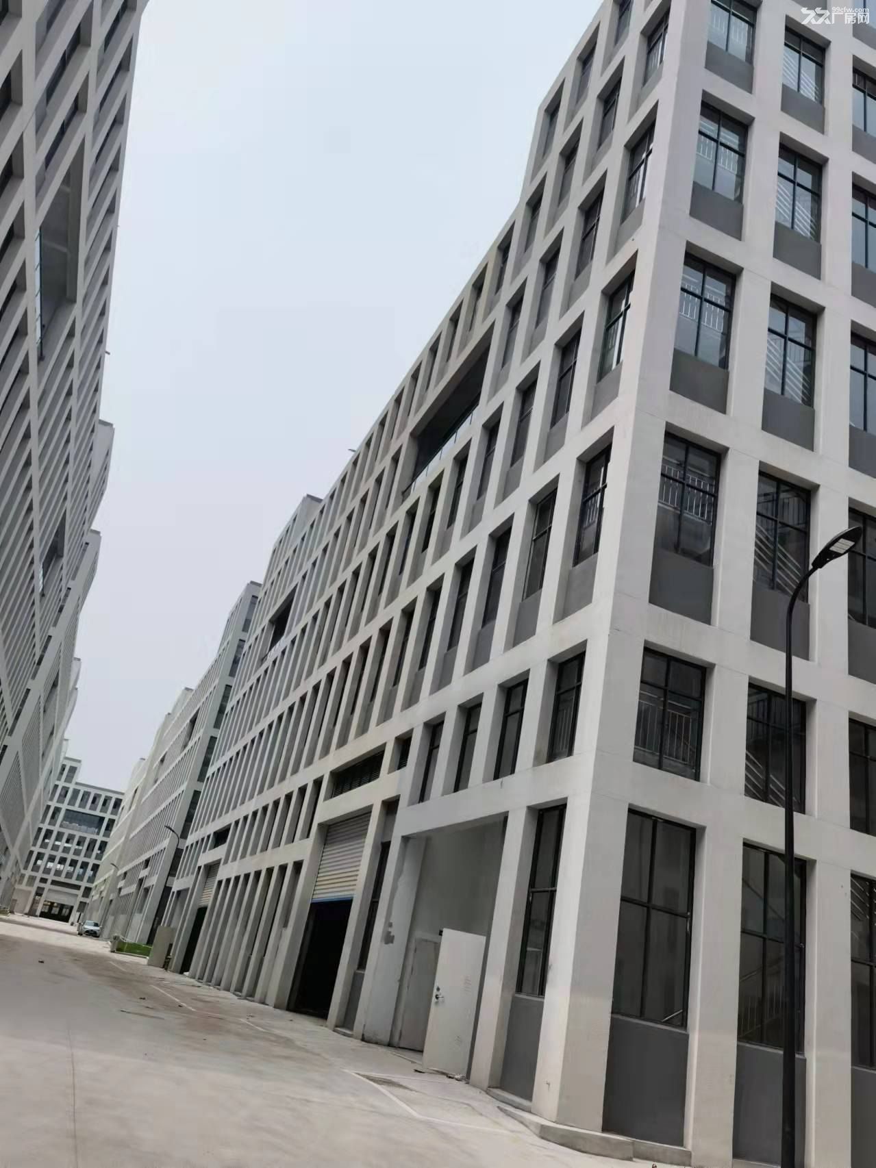 全新标准厂房全新出租,房东直租,非诚勿扰! - 4