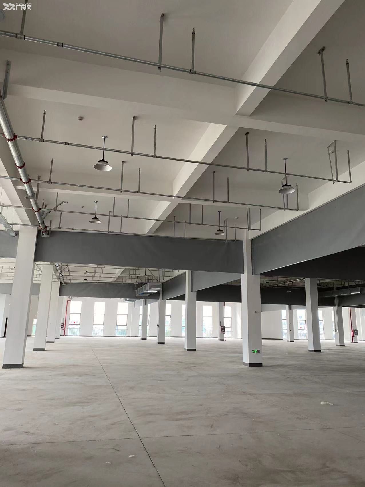 永兴厂房出租20000m² 可分租 - 5