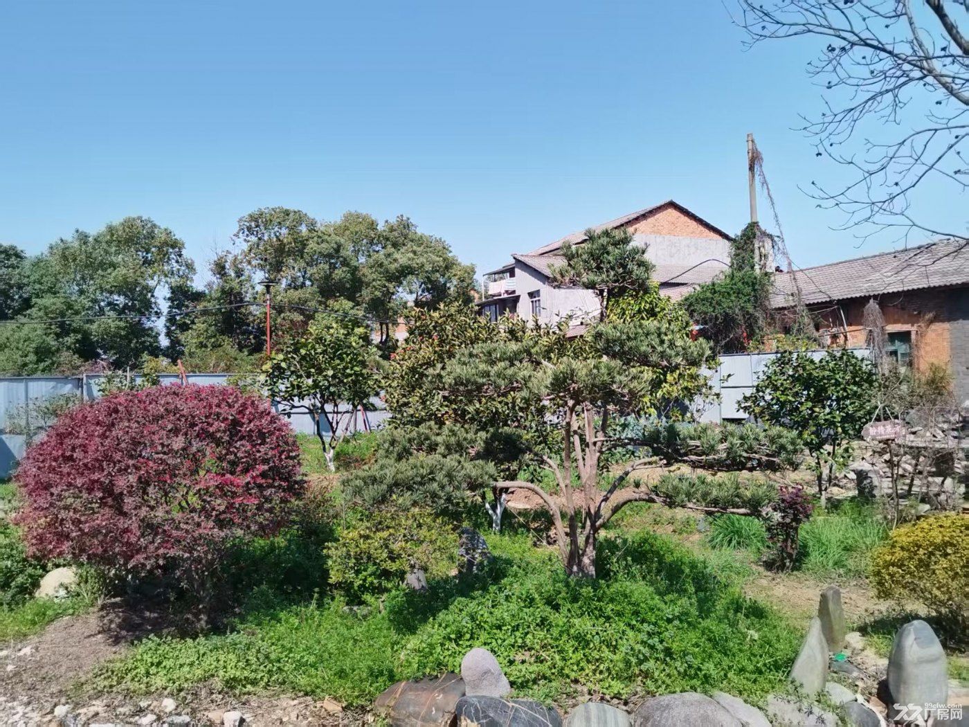 优惠价花园式厂房出租 - 2