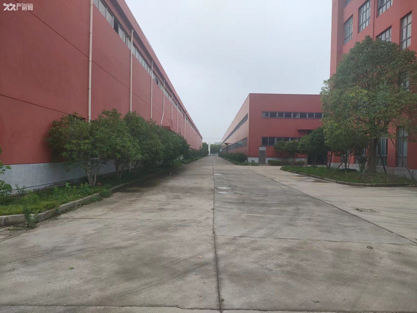 104嘉松北路厂房仓库800和1000和41000有行车形象好 - 3