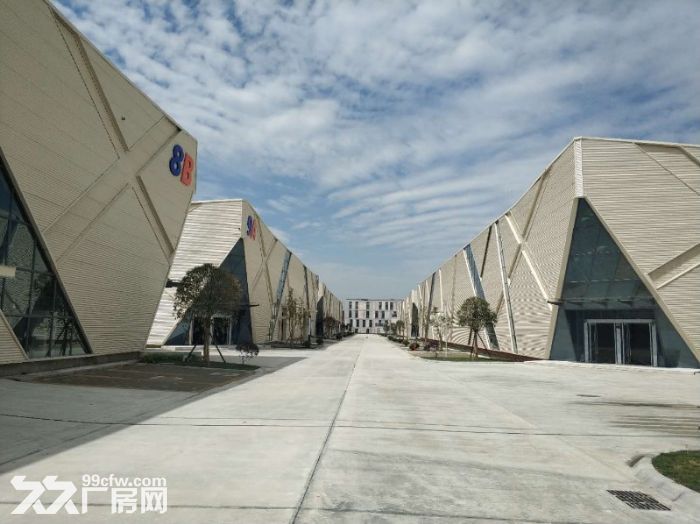 年底冲量,出售天府新区周边科技项目,独栋平层,1000起