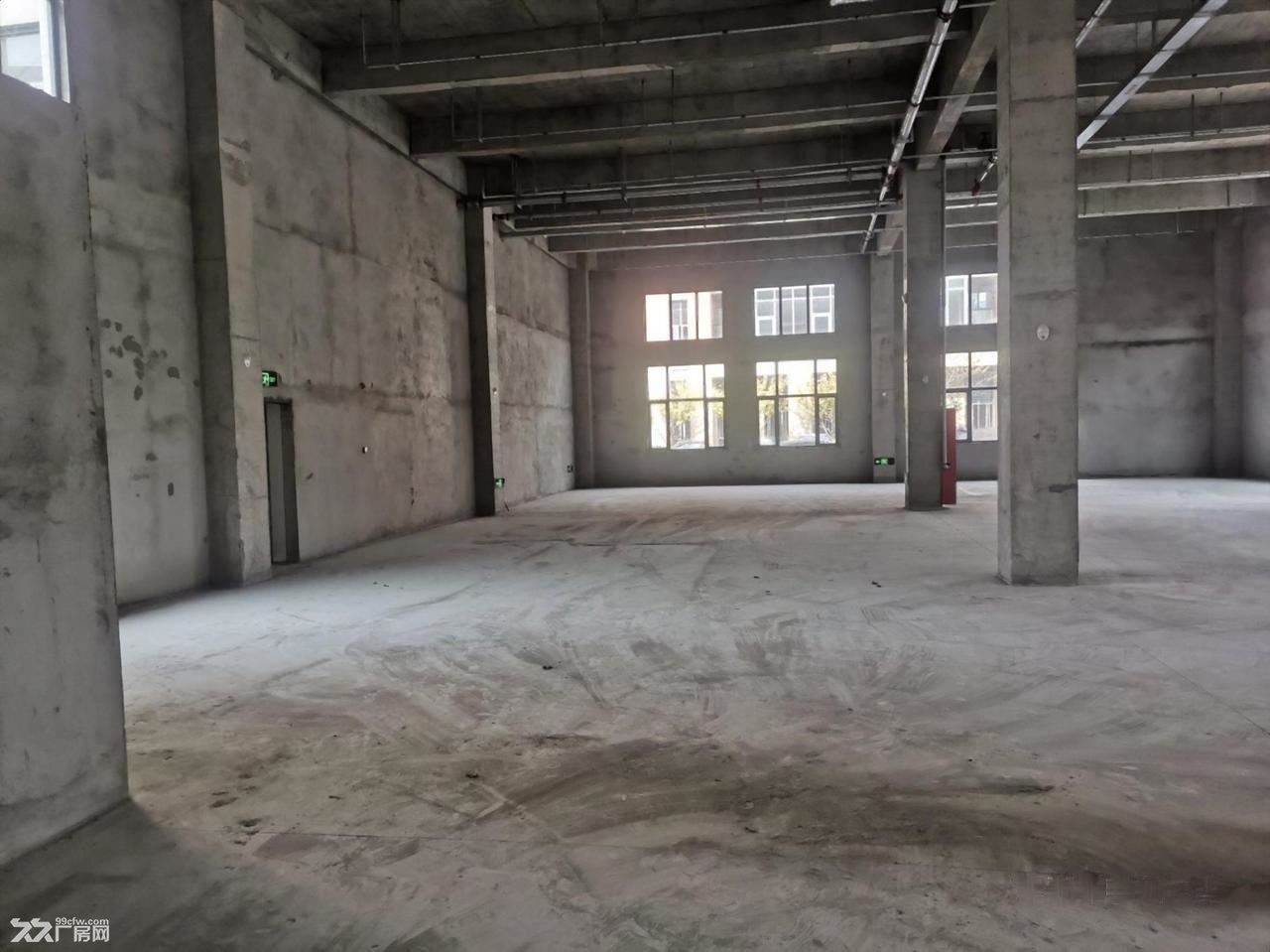 无花桥产业园厂房招租 毛坯和精装修带环氧树脂地面600起租 - 8