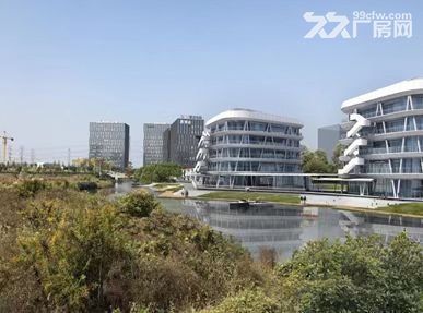 松江区临港松江科技城总部研发办公出租出售 - 5