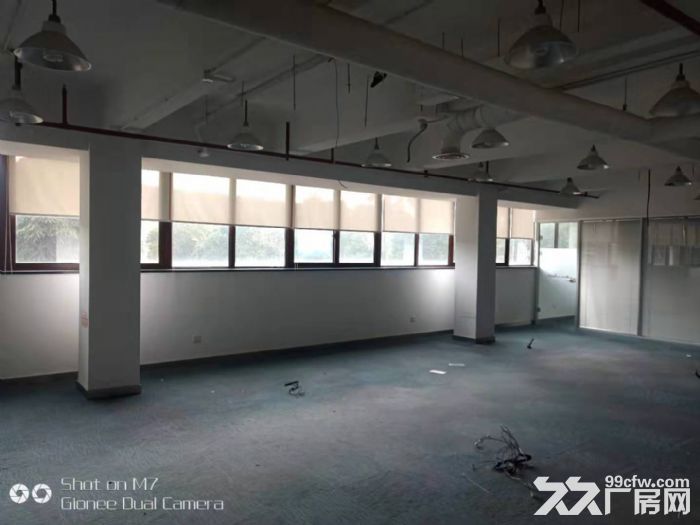 整栋3500实验室可办环评104地块实验室研发办公均可 - 4