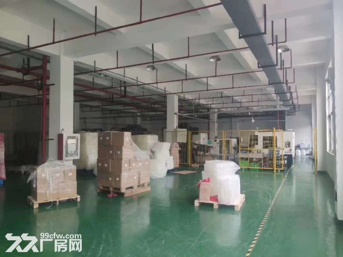 A胜浦一楼1400平标准厂房 环氧地坪 精装办公室