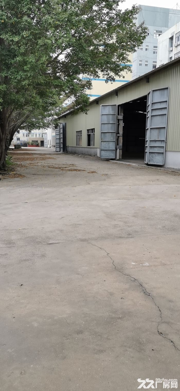 有平台,有行车 空地大,龙华单一层钢构出租4万平 可分租 - 6