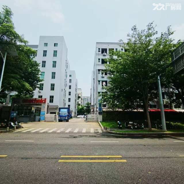 深圳坪地低碳城3w平优质独院厂房 - 2