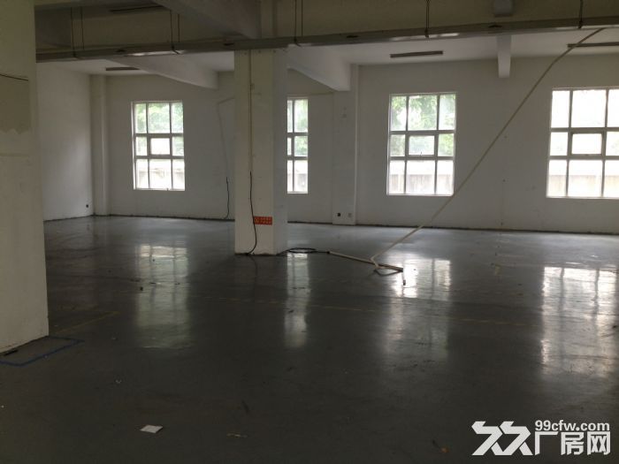 金都路虹梅南路园区1170平米标准厂房 - 3