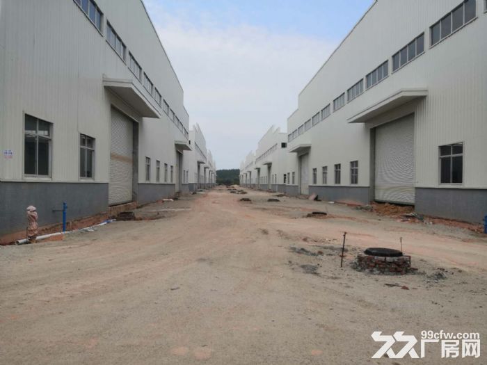 江门台山工业新城独院空地大50000平方厂房仓库招租 - 4