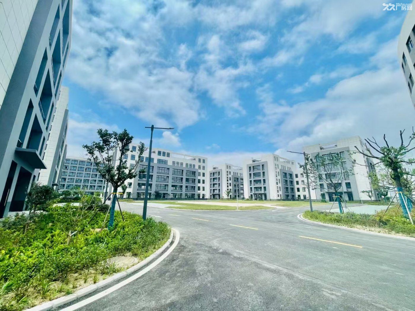 全新厂房,挑高8米,免租期长, - 7