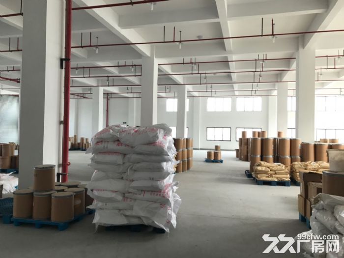 滨江独栋单层2000方标准厂房,电商服装设计展厅等 - 5
