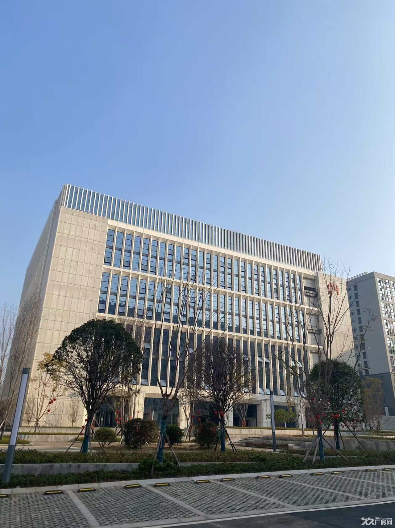 全新厂房出租,政策优惠力度大 - 3