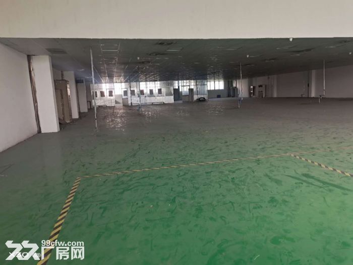 AA湖东独门独院4500平标准厂房 可架行车 精装办公室 - 2