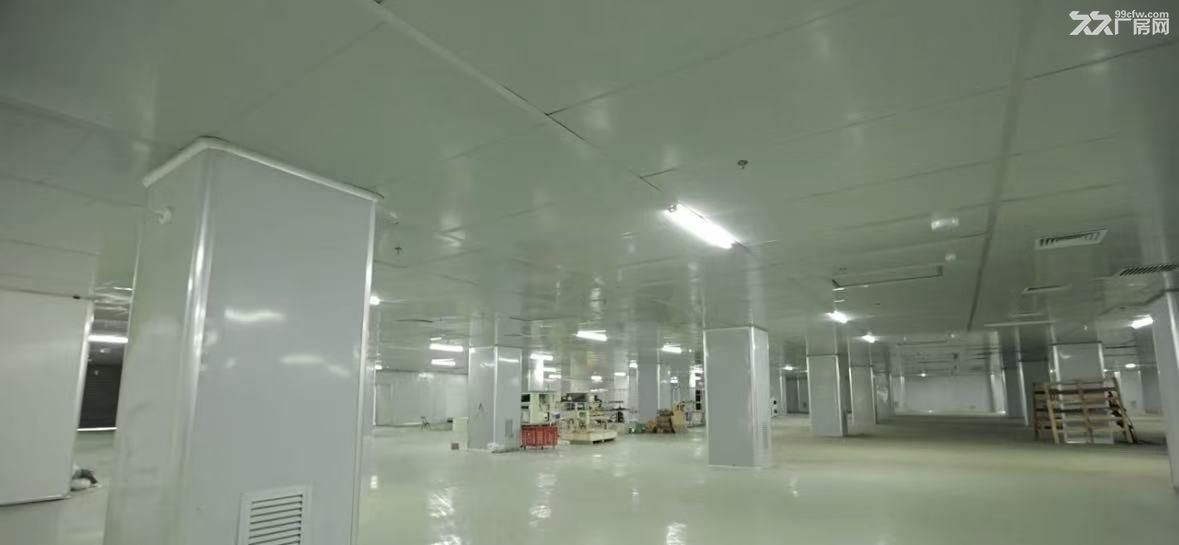 济宁高新区厂房出租丨济邹路附近13000㎡精装钢结构 - 4