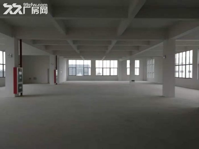 南通  开发区 钢混结构厂房 适合轻工,仓储,电商类企业入驻 - 4