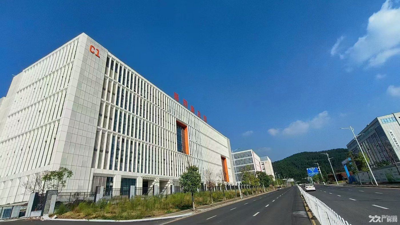 租金优惠,政策福利好,可环评,位置佳,全新高标准厂房, - 4