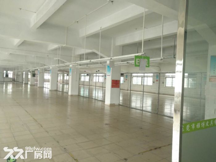 江门蓬江花园独院厂房招租,可分租,1000平方起租 - 5