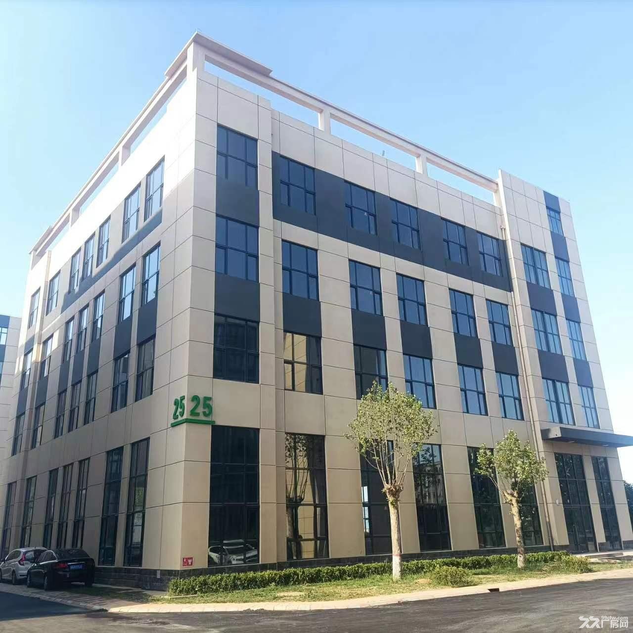 石家庄独栋1788㎡,企业总部,全新厂房,可按揭,有环评 - 3