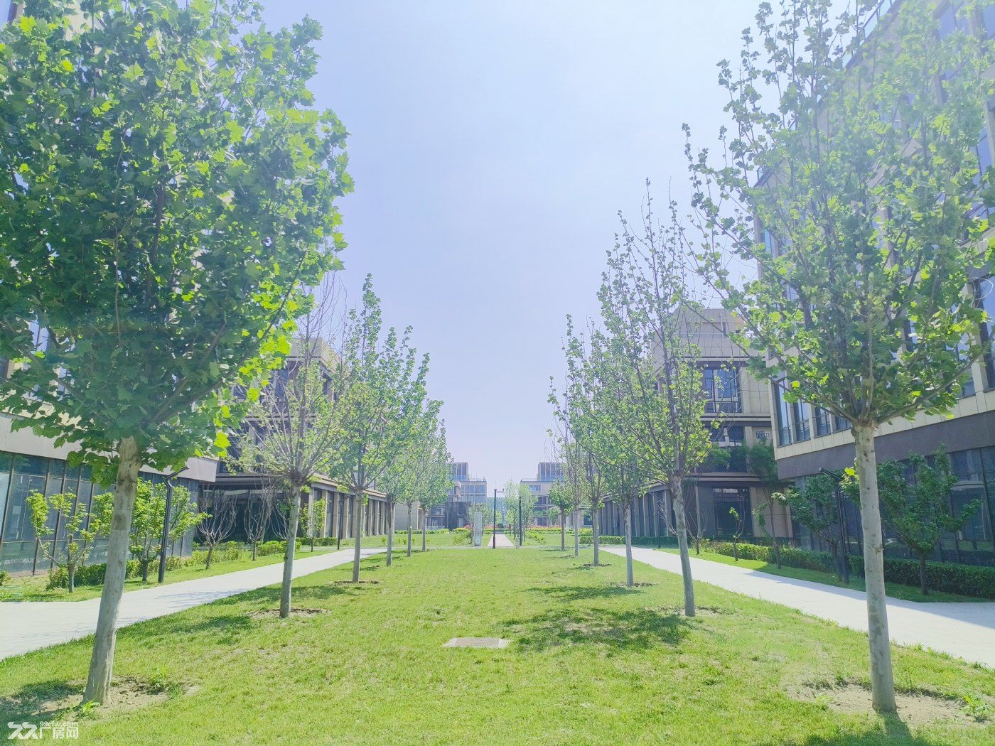 大健康产业园区 有环评 可生产研发 丙二类消防带喷淋 - 4