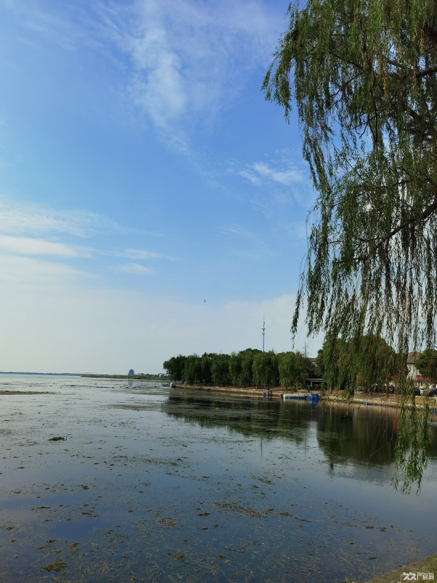 尹山湖景180度清晰视角办公楼 - 2
