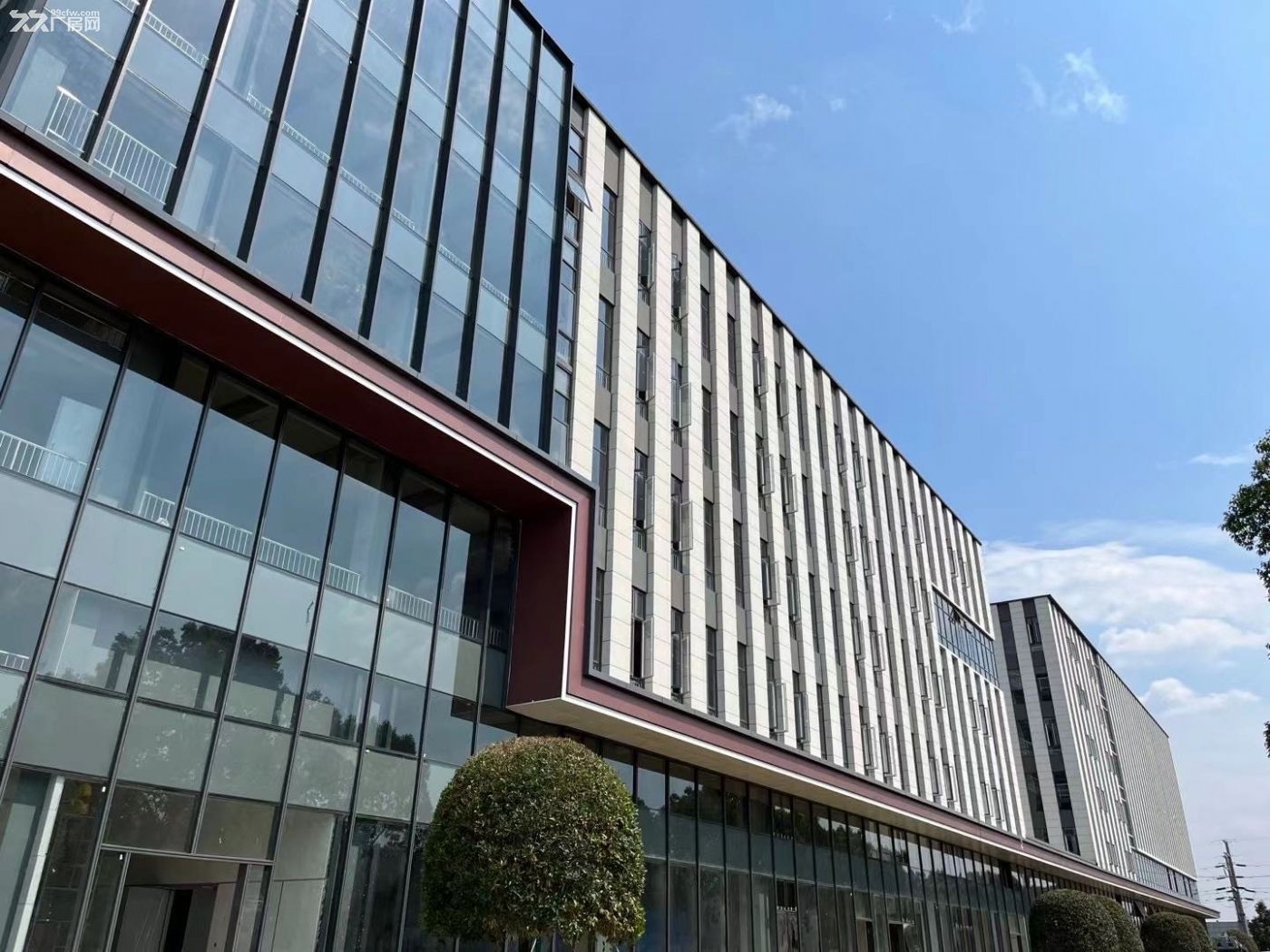 出售双流西航港50年产权全新框架厂房 - 5