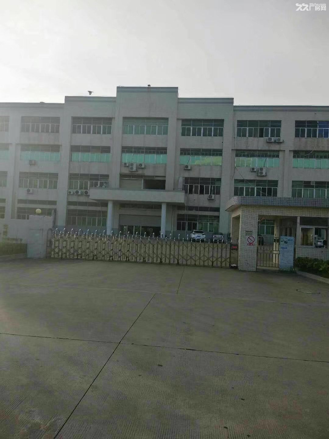 《《合》》惠州市江北1000平方出租 - 5