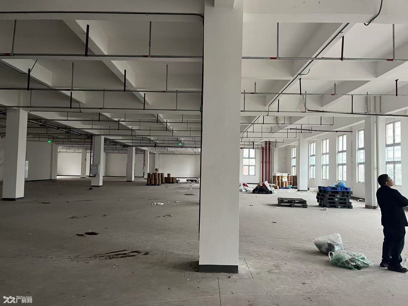巴南区南彭公路物流基地标准食品厂房出租 - 3