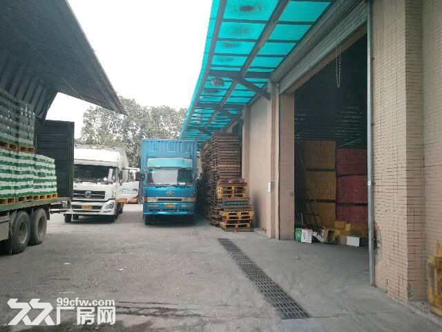 西丽老火车站附近,新出一楼钢构厂房,1000平低价出租,交通便利,空地大 - 2