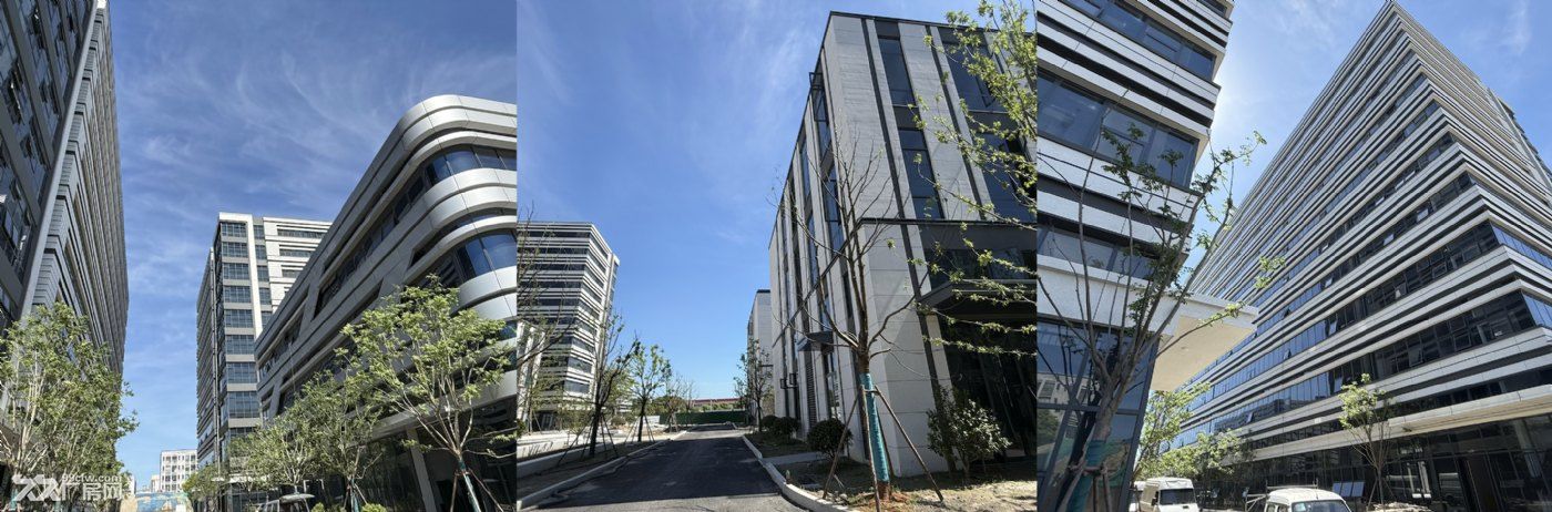 钱塘区国企园区现房厂房招商 - 3