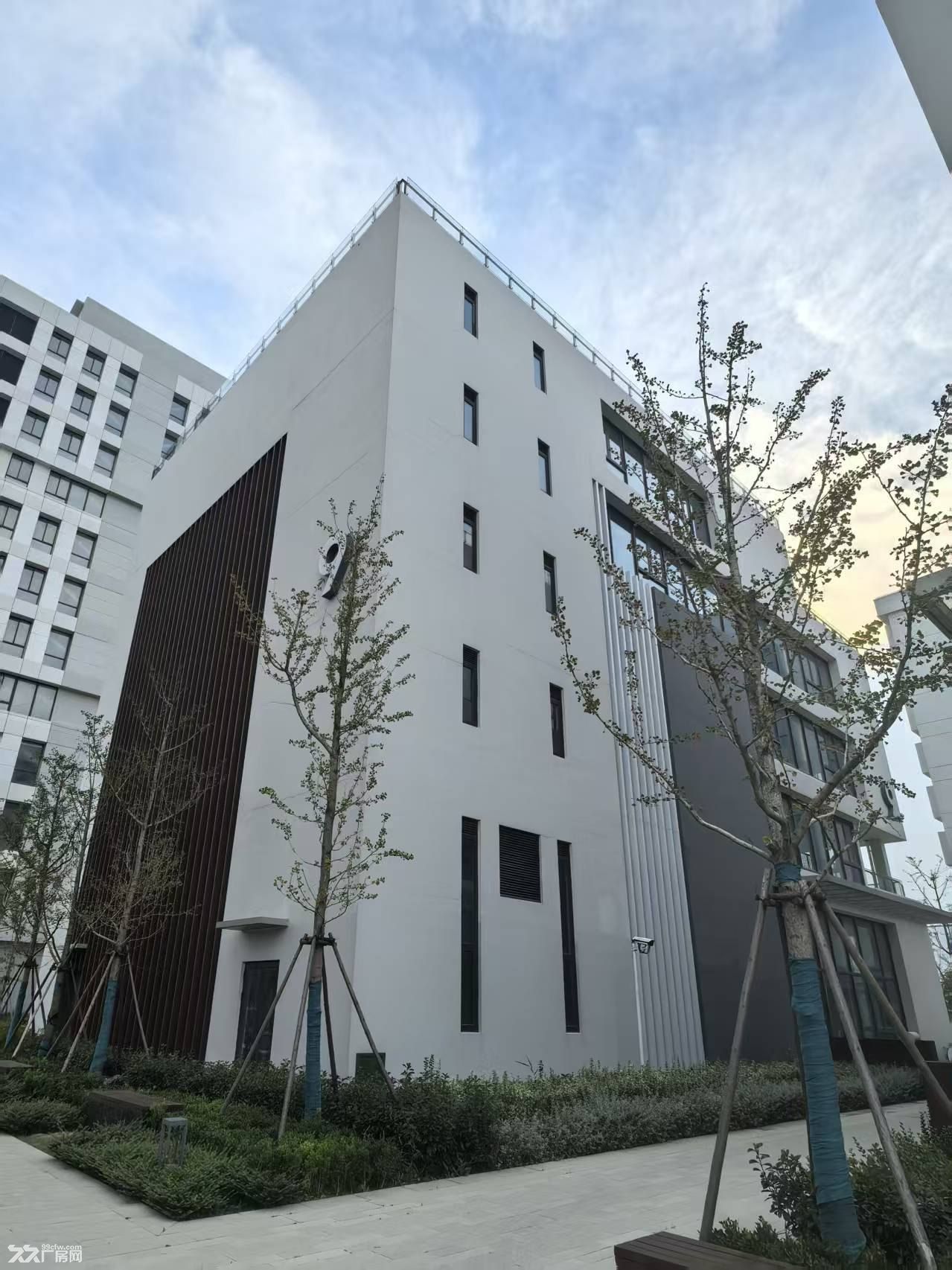 松江新桥清华大学国企园区买卖500平起 - 2
