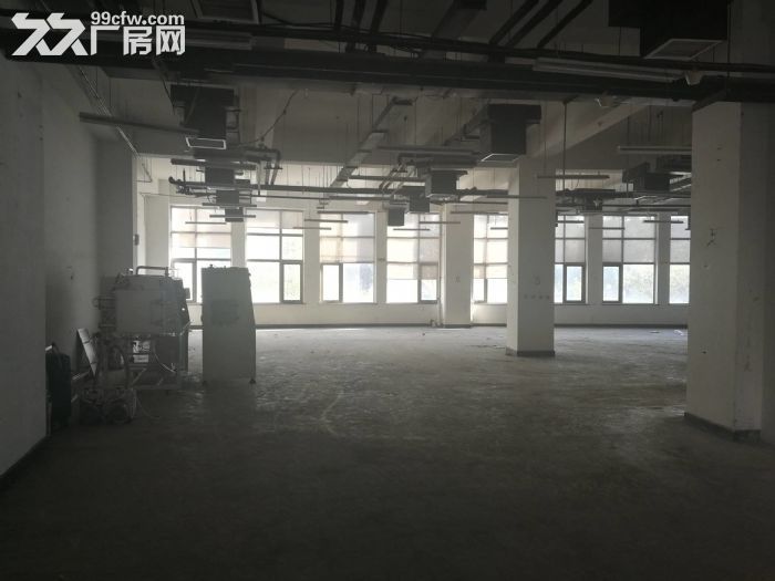 一层无地下 有物流门 可立项环评 仓储 轻加工 组装 - 7