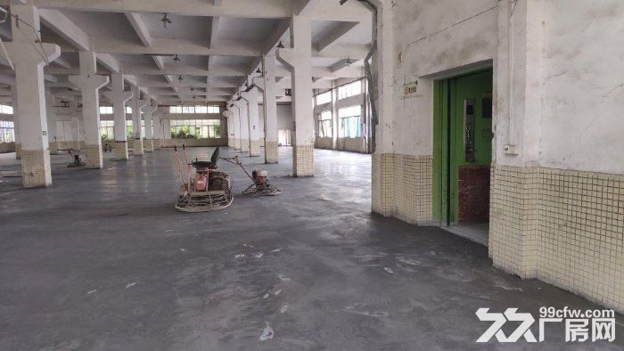 花都汽车城独门独院标准厂房5700平，配套办公宿舍，可办环评 - 3