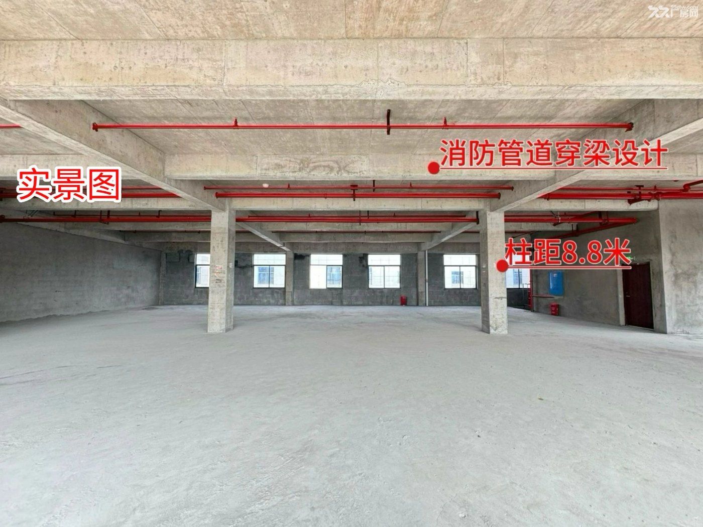 长沙最好品质园区独栋厂房出售 - 5