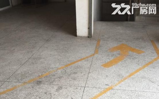 枋湖工业小区厂房出租2楼350平3楼1150平 - 3